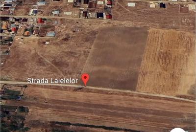 Teren de 5000 mp, în Central
