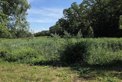 Casă cu Teren 1500 Mp în Bălteni - 5