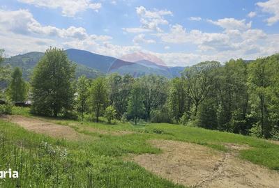 Teren de 2910 mp, în Hangu