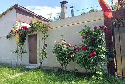 Casă cu 1 camere în Central