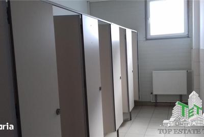 Spațiu comercial, de 1,600 mp, în Glina - 8