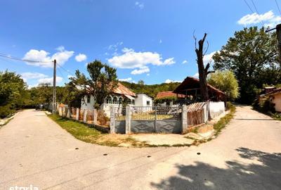 Casă cu 3 camere cu Teren 1900 Mp în Fârtățești