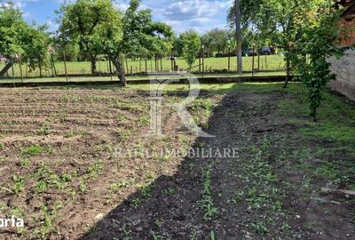 Casă cu 6 camere cu Teren 2300 Mp în Pomezeu - 7