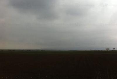 Teren Construcții extravilan de 60000 mp, în Stupini - 3