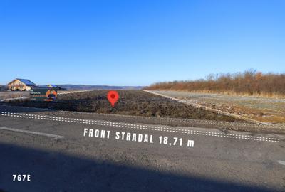 Teren Construcții intravilan de 6942 mp, în Alparea - 2