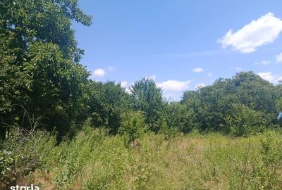 Casă cu 2 camere cu Teren 2000 Mp în Potlogi - 8