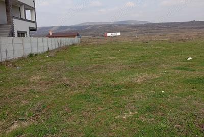 Teren de 3000 mp, în Schela