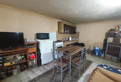 Casă individuală cu 2 camere cu Teren 3000 Mp în Tibru - 7