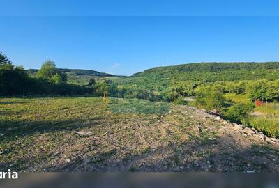 Teren de 1300 mp, în Dumitra