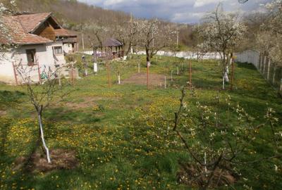 Teren de 120 mp, în Bâscenii de Sus