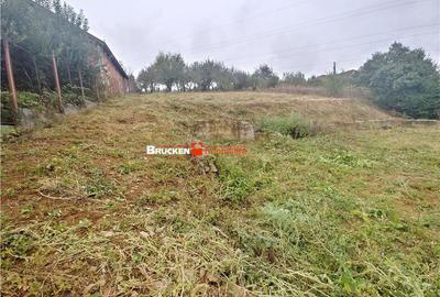 Teren de 1236 mp, în Petreu - 7