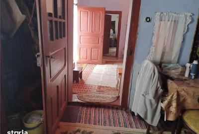 Casă cu 3 camere cu Teren 4658 Mp în Schitu - 3
