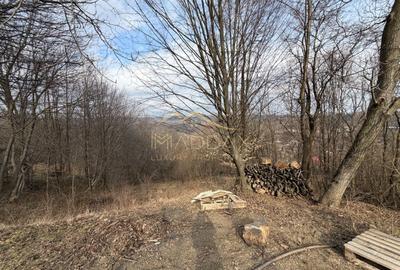 Teren agricol intravilan de 3895 mp, în Central - 6