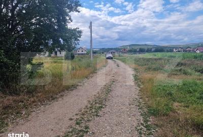 Teren de 4300 mp, în Zorilor