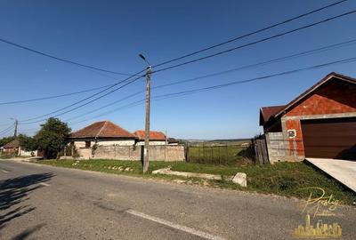 Teren Construcții intravilan de 3255 mp, în Tășad - 2