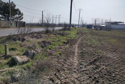 Teren de 5000 mp, în Frumușani - 7