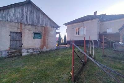 Casă individuală cu 2 camere cu Teren 2980 Mp în Panticeu - 4