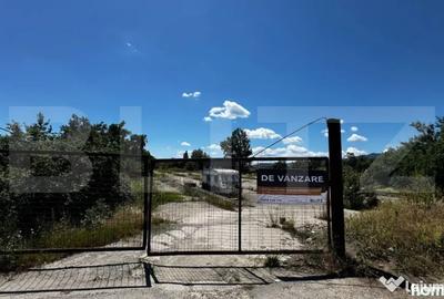 Teren de 13208 mp, în Industrială - 1