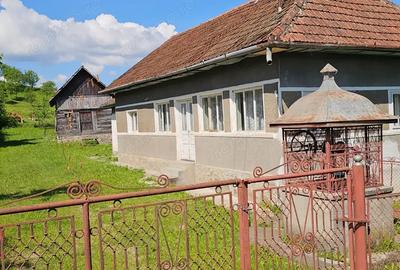 Casă cu 3 camere cu Teren 800 Mp în Central - 10