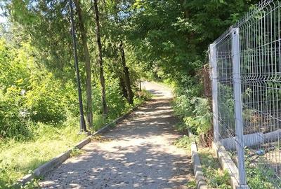 Casă cu 5 camere cu Teren 3000 Mp în Central - 12