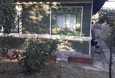 Casă cu Teren 2500 Mp în Micșunești-Moară - 4