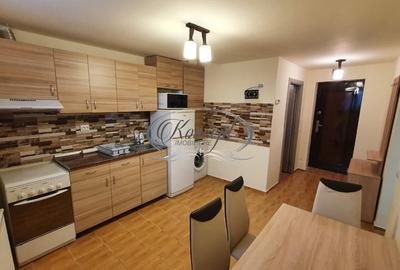 Apartament cu 2 camere decomandat, mobilat în Hașdeu - 2