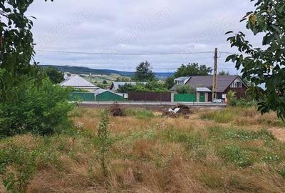 Teren de 1488 mp, în Secuia - 1