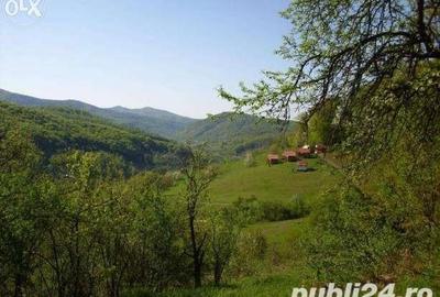 Teren de 18000 mp, în Moneasa - 1
