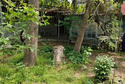 Casă cu 3 camere în Glodeanu-Siliștea - 7