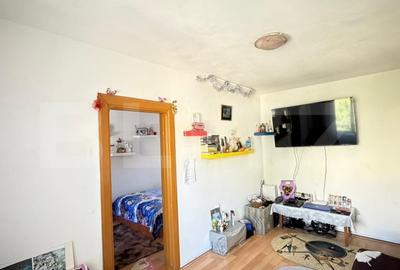 Apartament cu 3 camere semidecomandat, mobilat în Valea Rosie