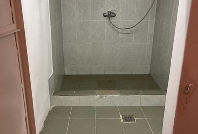 Casă cu 3 camere cu Teren 304 Mp în Andrei Mureșanu