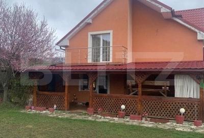 Casă individuală cu 6 camere cu Teren 2800 Mp în Gădălin - 15