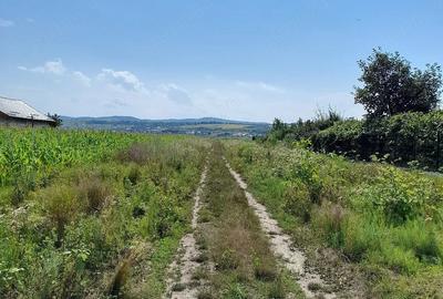 Teren de 3000 mp, în Lilieci - 1