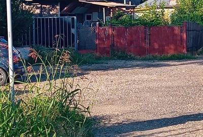 Casă cu 3 camere în Dealu Viei