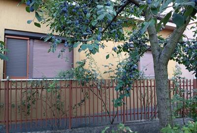 Casă individuală cu 3 camere cu Canalizare în Dâmbovița