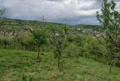 Teren extravilan de 5800 mp, în Aiudul de Sus