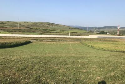 Spațiu comercial, în Turda - 4