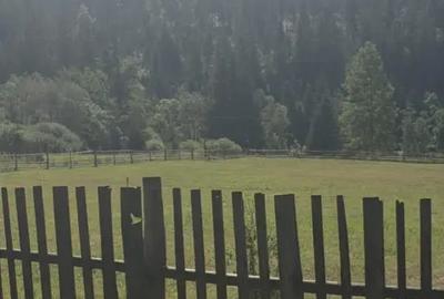 Teren de 1500 mp, în Central