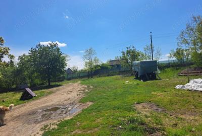 Casă cu 3 camere în Sulița - 2