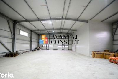 Spațiu comercial, de 490 mp, în Chiajna - 8