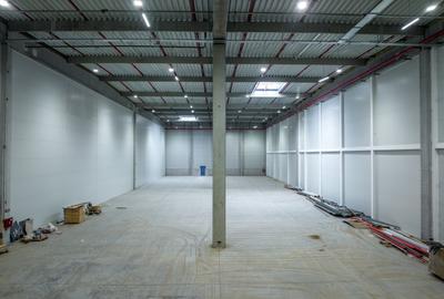 Spațiu industrial, de 15,000 mp, în Jucu - 8