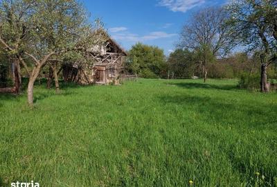 Teren de 1240 mp, în Alexandru cel Bun