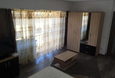 Garsonieră decomandată, mobilată în Nicolina - 3
