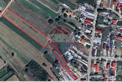Teren de 4318 mp, în Gologanu