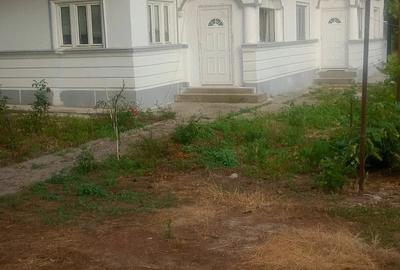 Casă cu 3 camere cu Teren 1400 Mp în Bolintin-Deal - 3