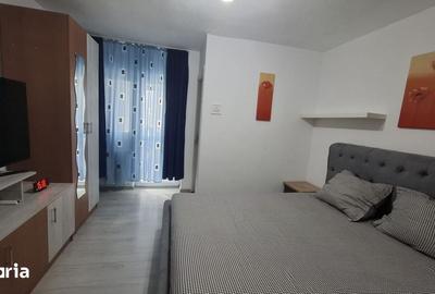Garsonieră în Lăpuș Argeș - 6