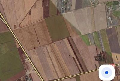 Teren de 500 mp, în Viile Noi - 5