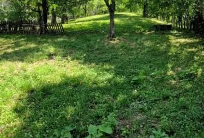 Teren de 2300 mp, în Nucșoara - 3