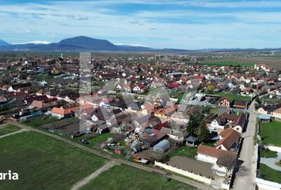 Teren de 502 mp, în Hălchiu - 4