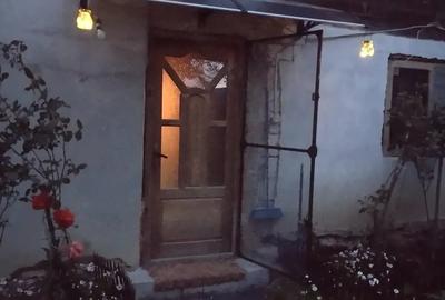 Casă cu Teren 11196 Mp în Central - 5